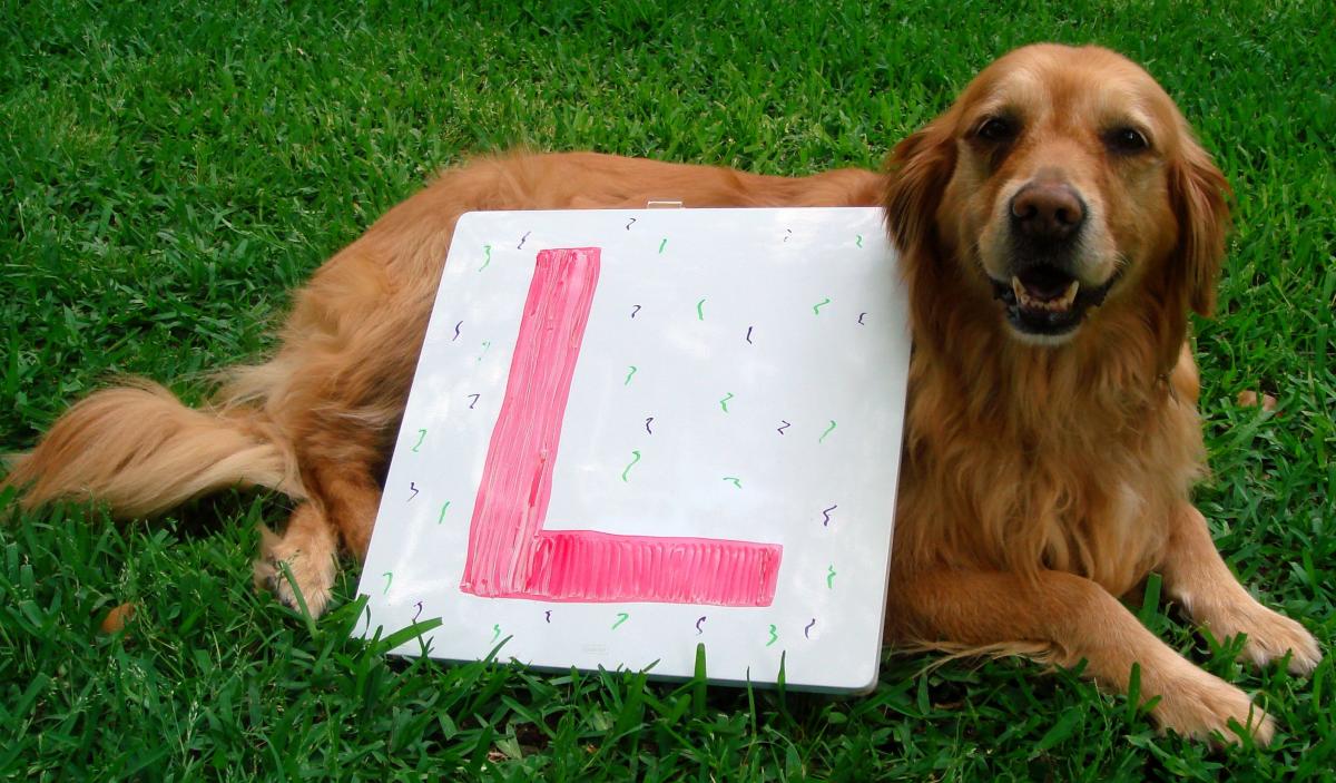 Lilly with the letter L