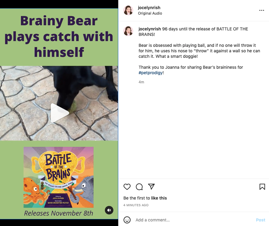 Bear Instagram post